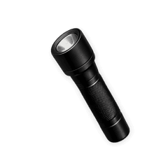 Stagista / Tirocinante